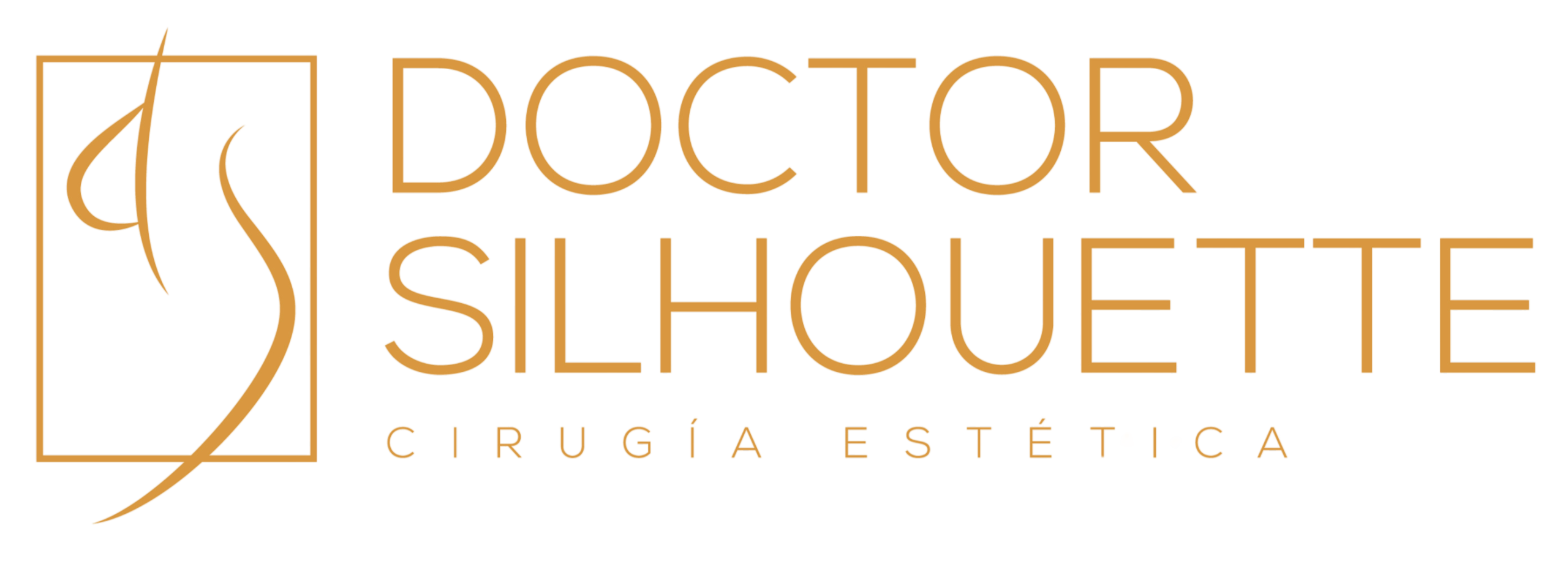 Doctor Silhouette